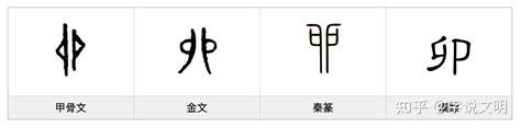 卯字根|卯（汉字）